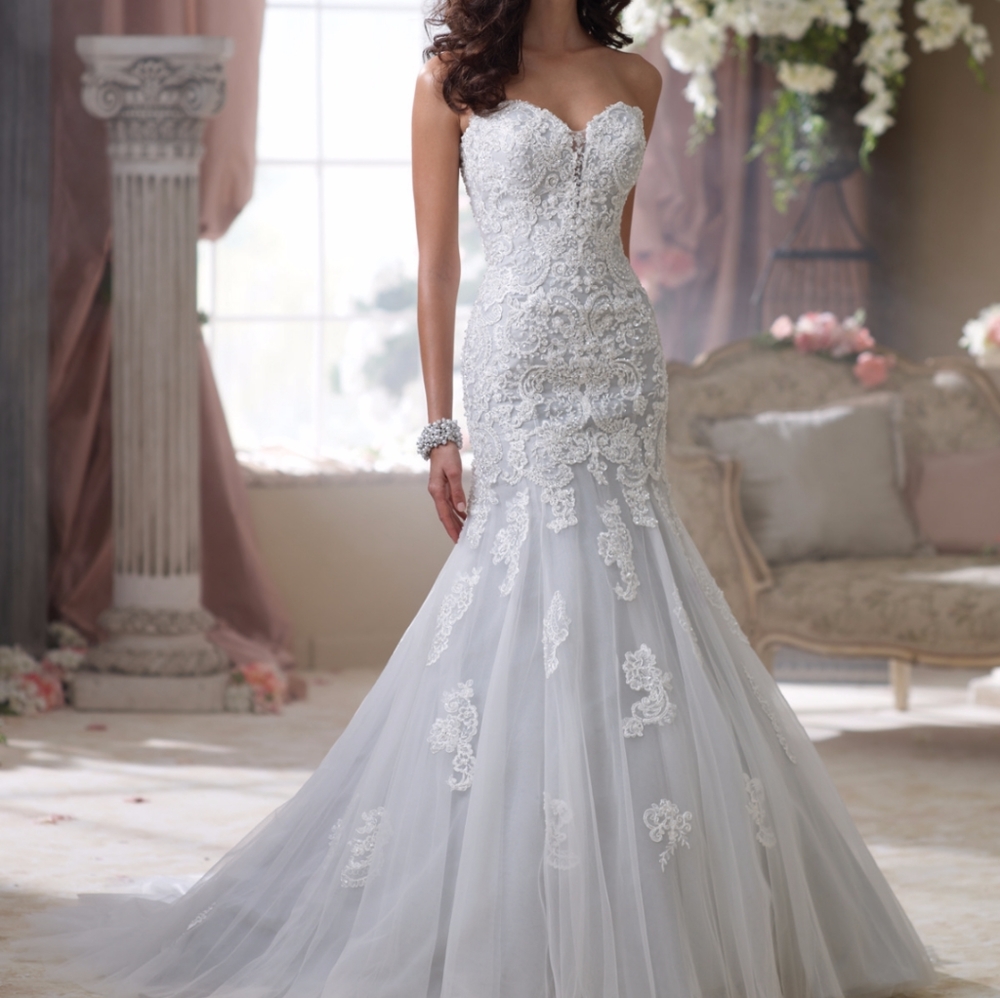 David Tutera Wedding Dress